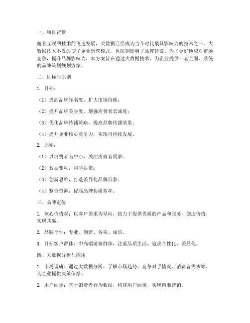 大数据品牌策划规划方案