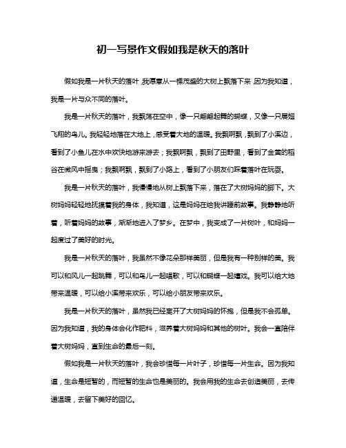 初一写景作文假如我是秋天的落叶