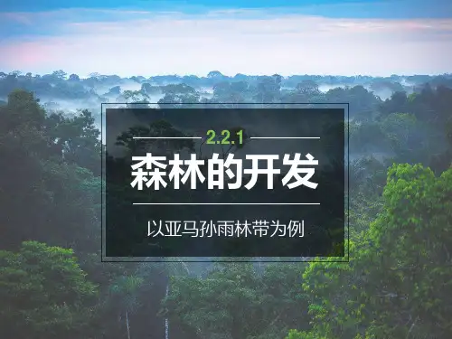 森林的开发与保护课件(共14张PPT)