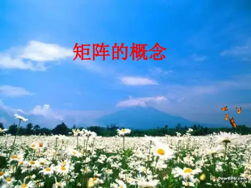 高中数学选修4-2《矩阵与变换》.1.1 矩阵的概念