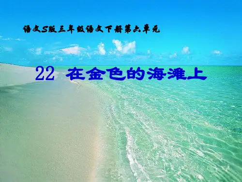 2021完整版《在金色的海滩上》PPT课件2