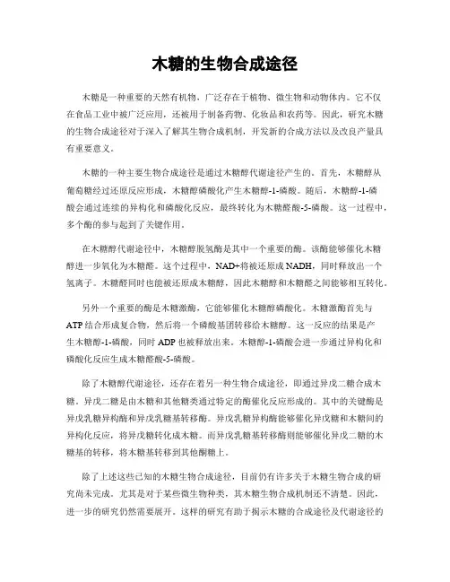 木糖的生物合成途径