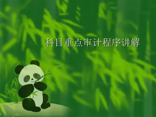 审计程序讲解PPT课件
