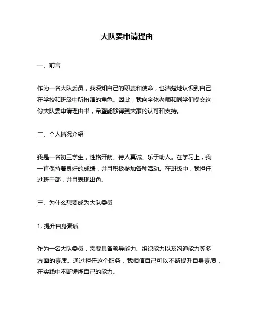 大队委申请理由