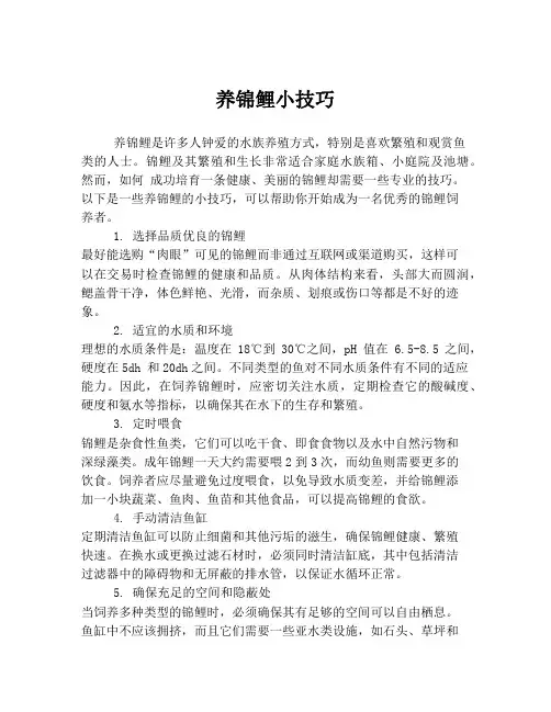 养锦鲤小技巧