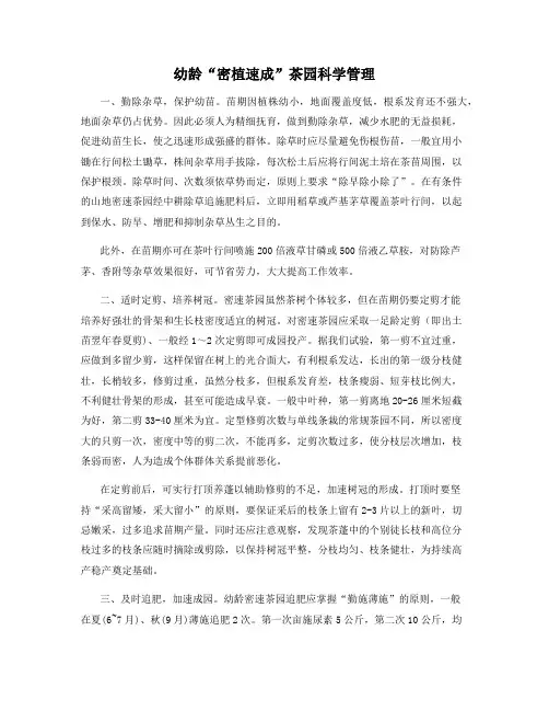 幼龄“密植速成”茶园科学管理