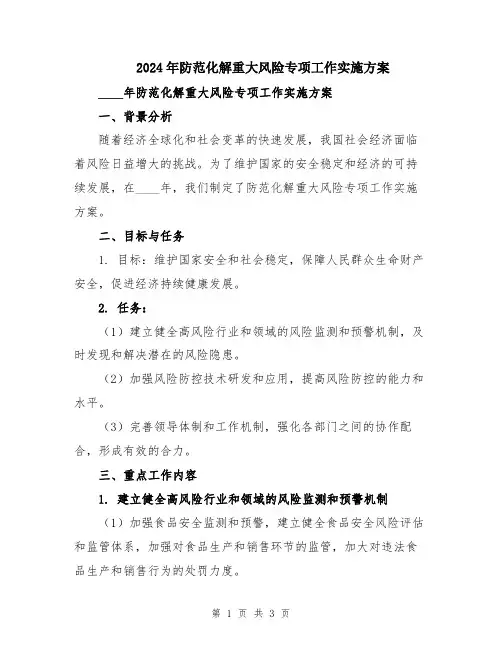 2024年防范化解重大风险专项工作实施方案