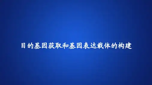 高中生物课件《目的基因获取和基因表达载体的构建 》