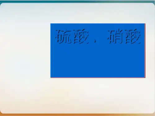 浓硫酸浓硝酸课件人教版高中化学必修一