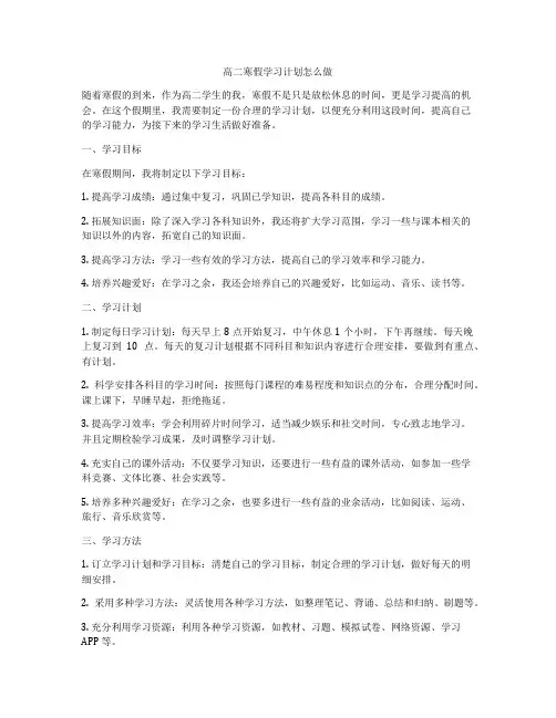 高二寒假学习计划怎么做