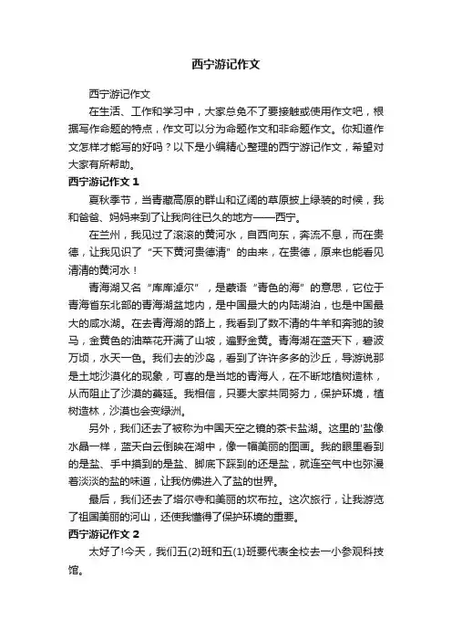 西宁游记作文