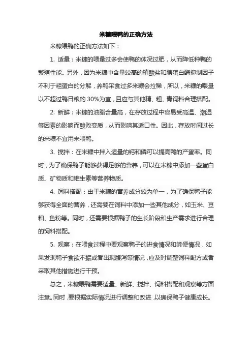 米糠喂鸭的正确方法