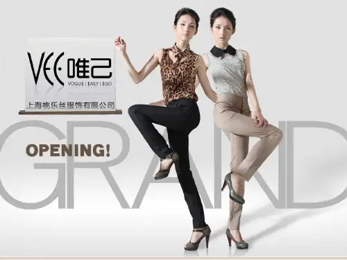 一战成名VEE专业女裤品牌介绍.pptx