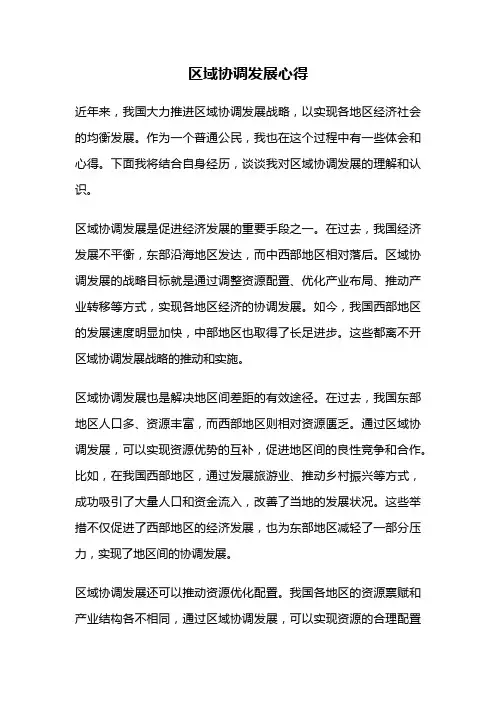 区域协调发展心得