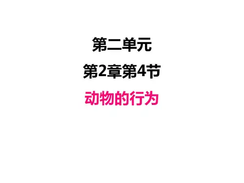 济南版初中七年级上册生物精品教学课件 第一单元 第2章 动物的行为