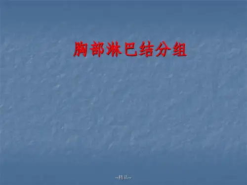 肺部淋巴结分组勾画幻灯