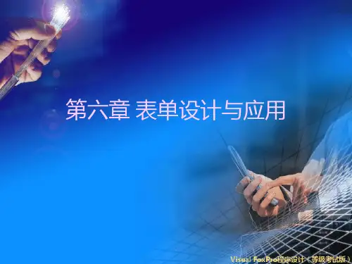 表单设计与应用PPT课件