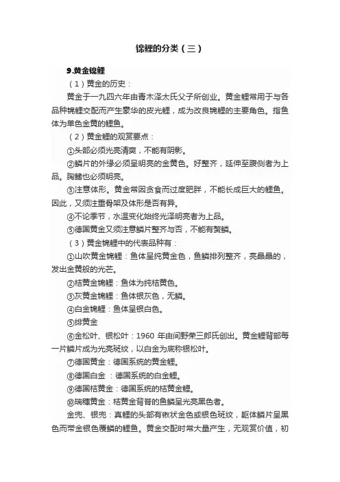 锦鲤的分类（三）