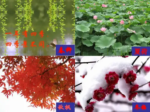 大自然的语言  省优质课获奖课件(完整版)