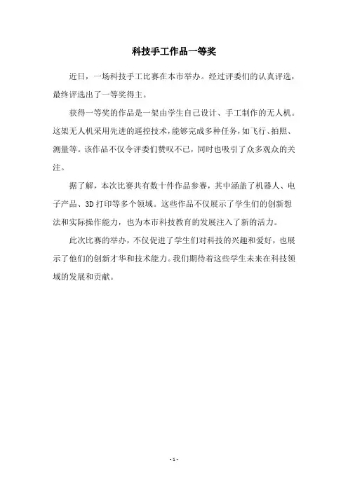 科技手工作品一等奖