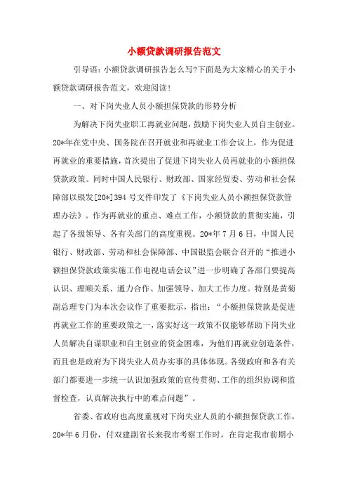小额贷款调研报告范文