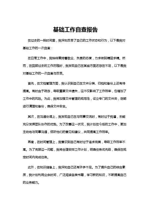 【自查报告】基础工作自查报告