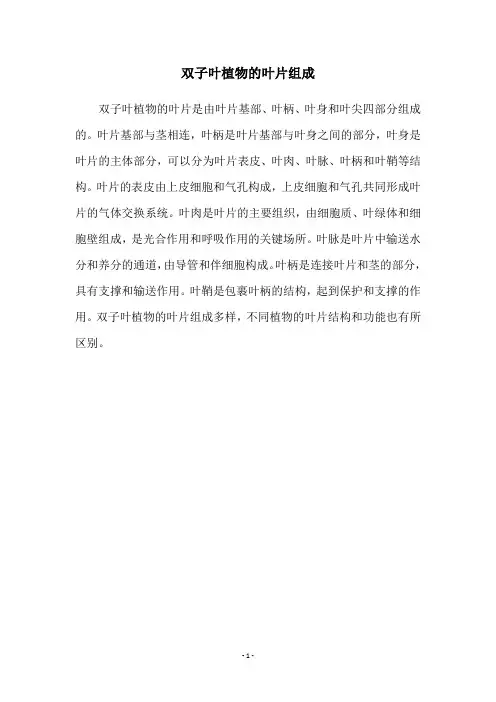 双子叶植物的叶片组成