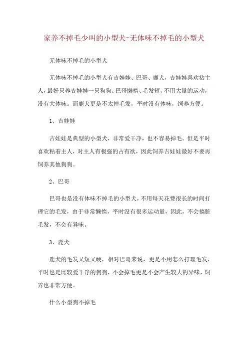 家养不掉毛少叫的小型犬-无体味不掉毛的小型犬