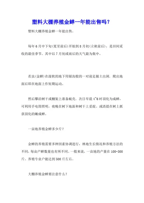 塑料大棚养殖金蝉一年能出售吗？