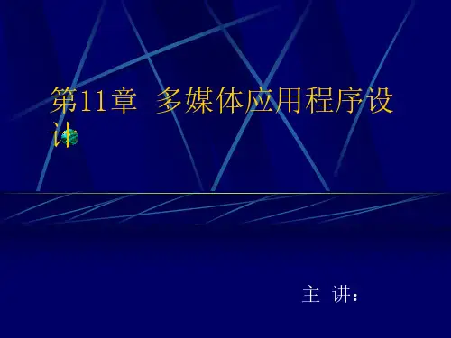 多媒体应用程序设计