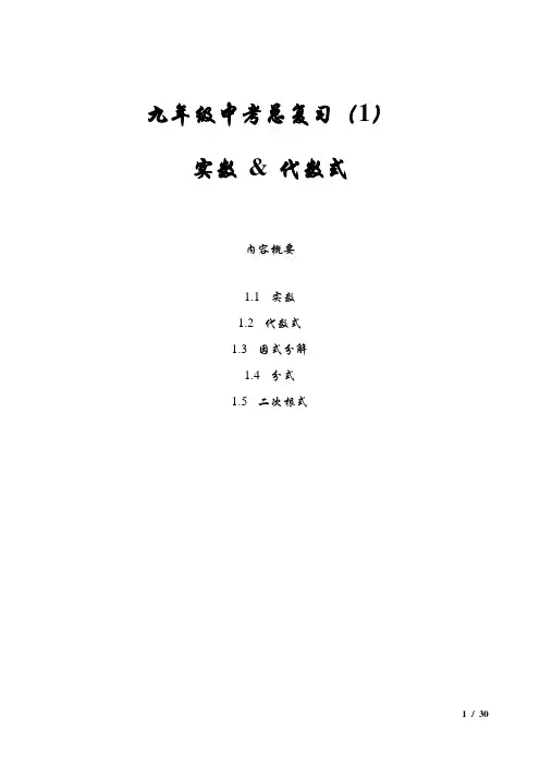 九年级中考总复习之1实数与代数式