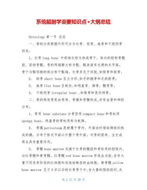 系统解剖学重要知识点+大纲总结