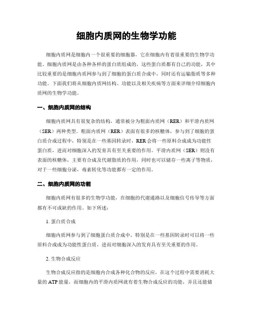 细胞内质网的生物学功能