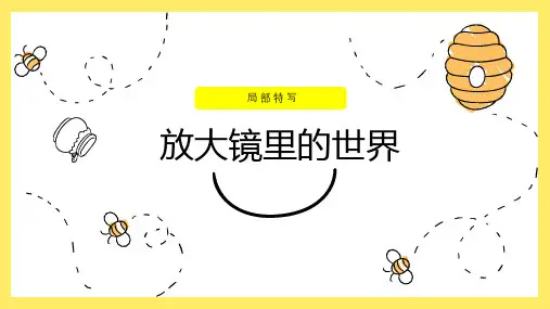 局部特写《放大镜里的世界》美术教学PPT课件