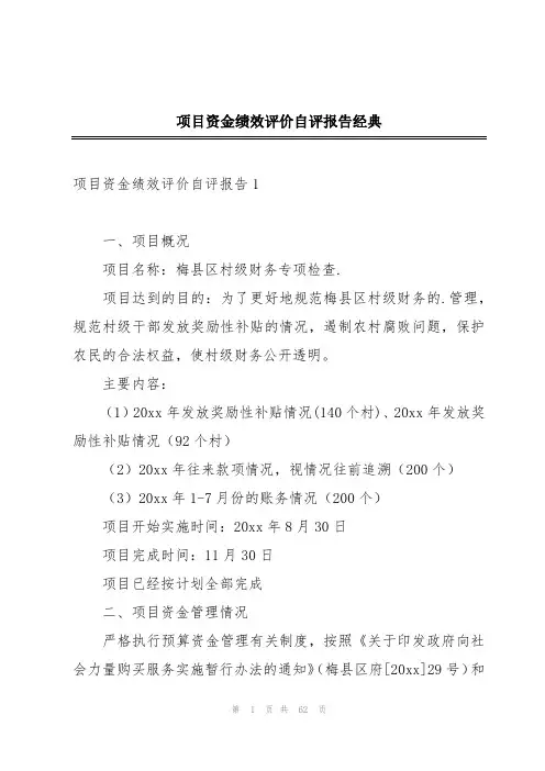 项目资金绩效评价自评报告经典