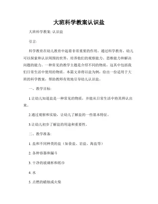 大班科学教案认识盐