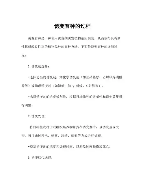 诱变育种的过程
