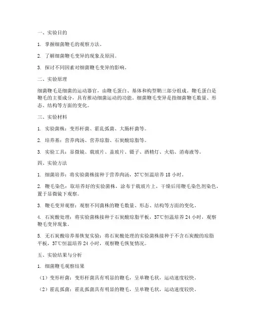 细菌鞭毛变异实验报告