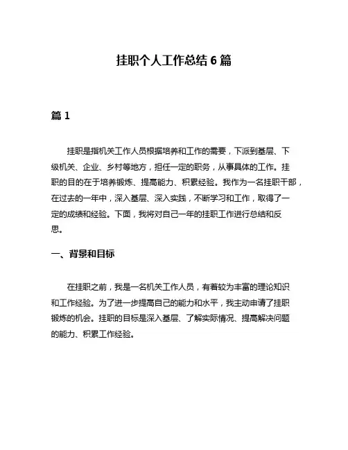 挂职个人工作总结6篇