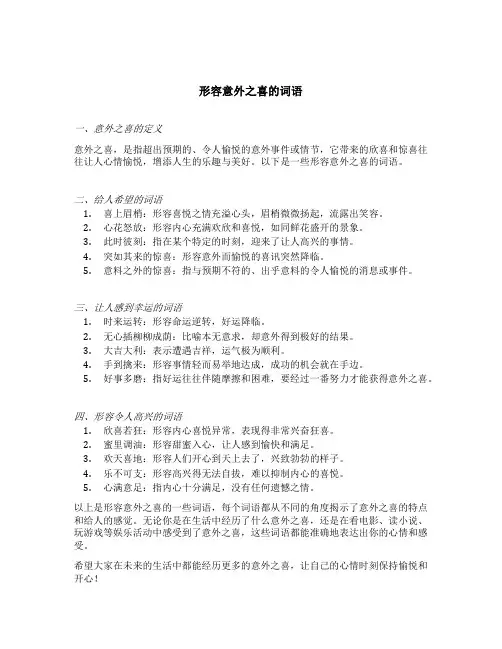 形容意外之喜的词语