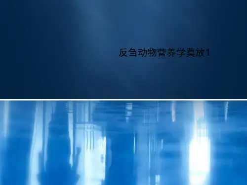 反刍动物营养学莫放1
