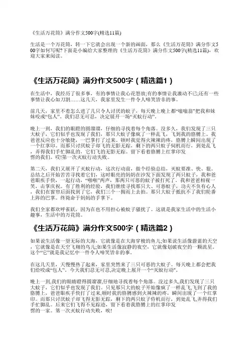《生活万花筒》满分作文500字11篇