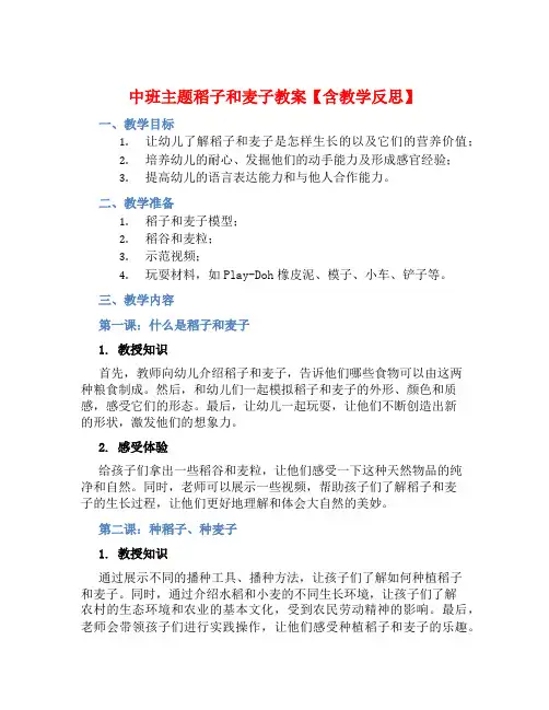 中班主题稻子和麦子教案【含教学反思】
