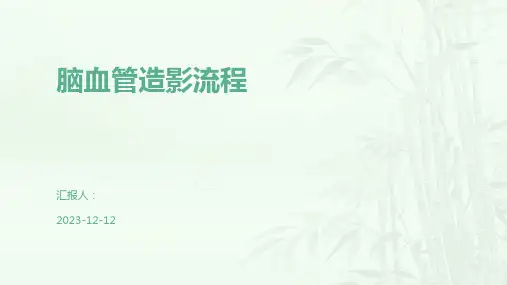 脑血管造影流程