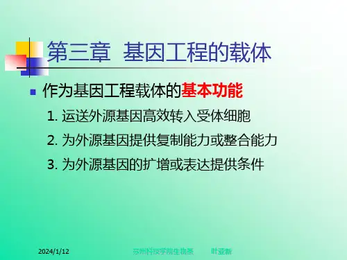 基因工程第三章基因工程的载体
