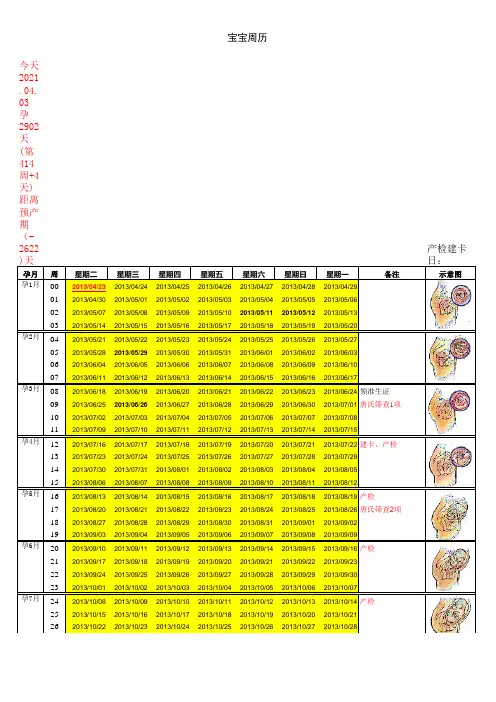 怀孕周期表 Excel版