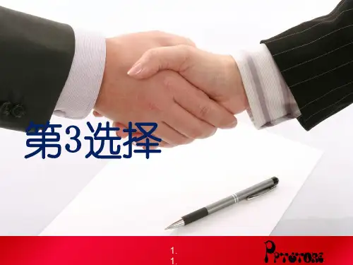 第3选择[优质PPT]