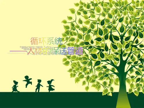 学前儿童卫生与保育 第二节  循环系统ppt课件