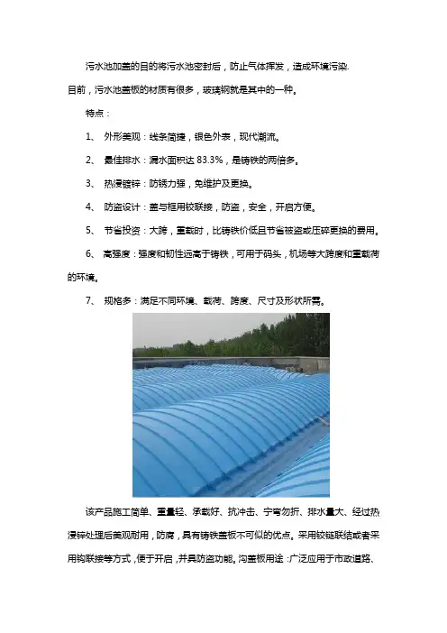 污水池盖板