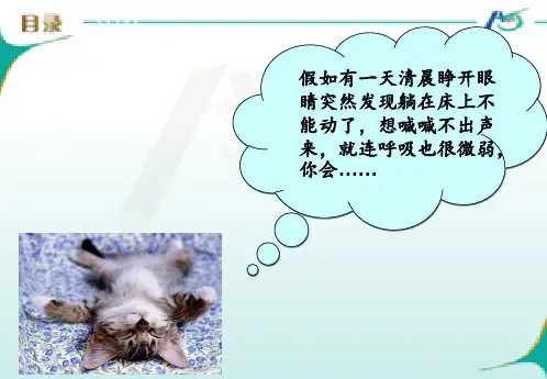 格林巴利综合症护理查房【95页】